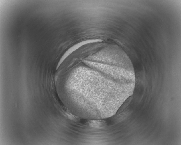 X0000063530623200602172244