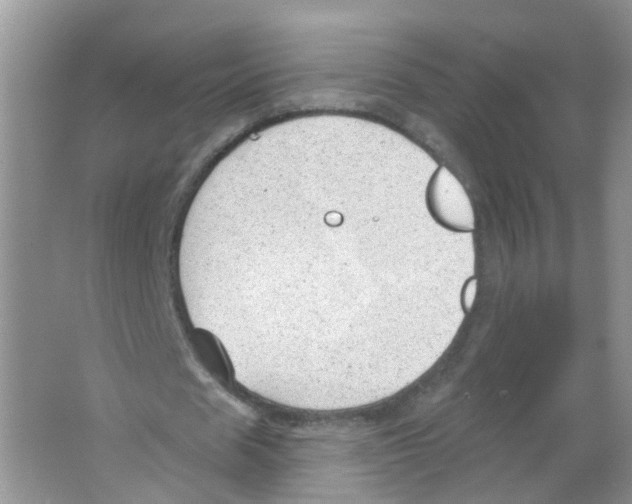 X0000063530625200602172243