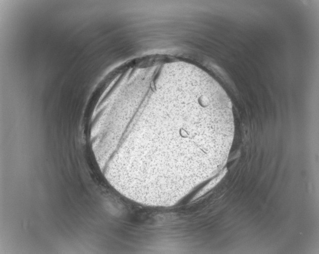 X0000063530628200602172243