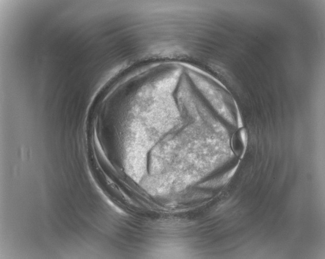 X0000063530630200602172243