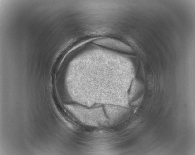 X0000063530634200602172244