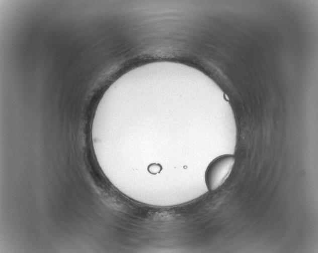 X0000063530635200602172244