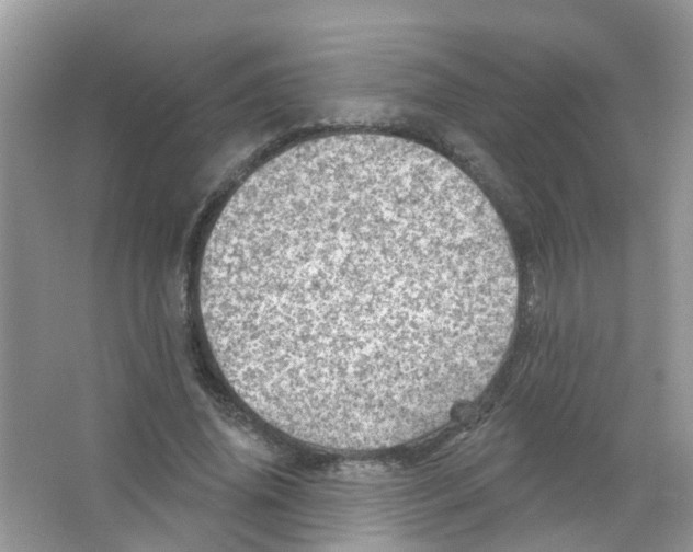 X0000063530636200602172244