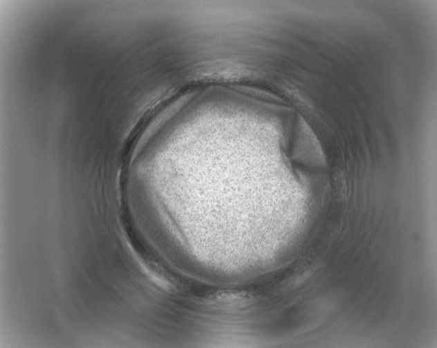 X0000063530638200602172244