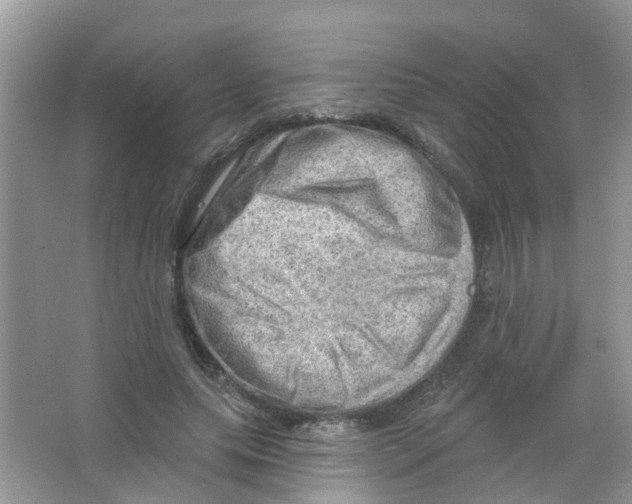 X0000063530639200602172244