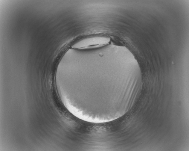 X0000063530640200602172244