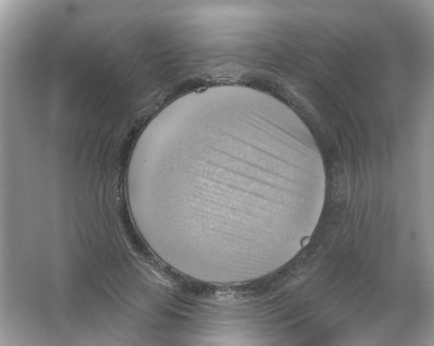 X0000063530641200602172244