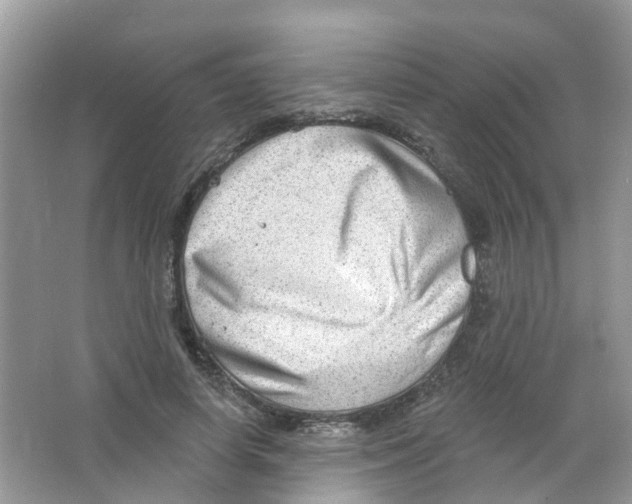 X0000063530642200602172244