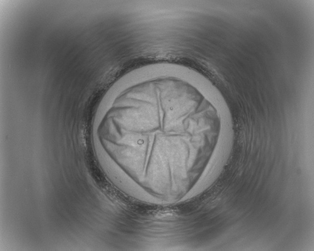 X0000063530643200602172244