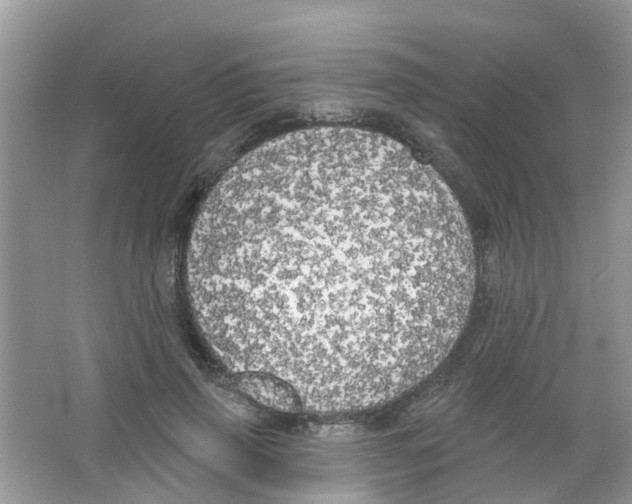 X0000063530645200602172244