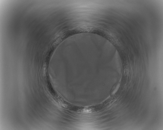 X0000063530647200602172244