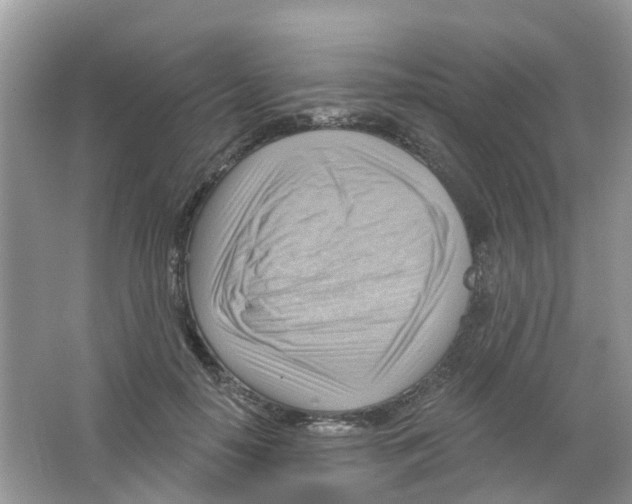 X0000063530650200602172244