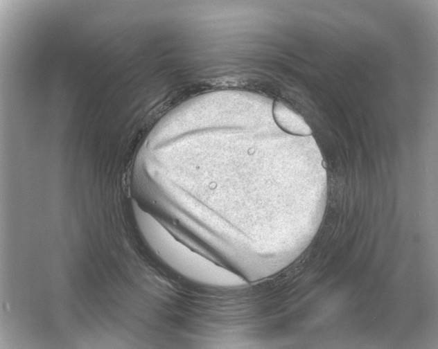 X0000063530652200602172244