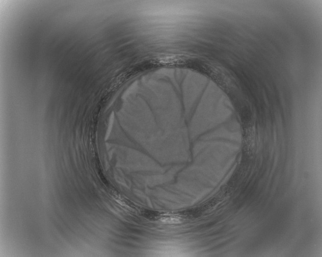 X0000063530653200602172244