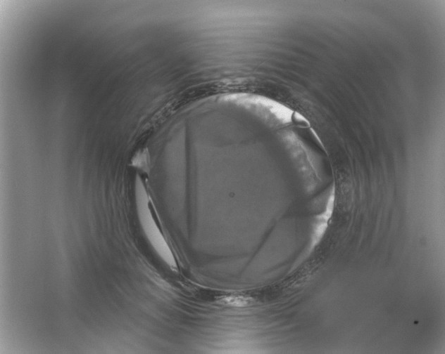 X0000063530654200602172244