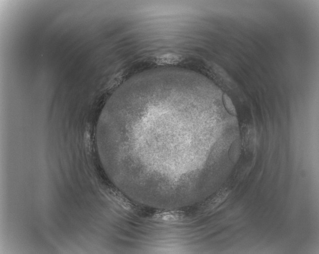 X0000063530655200602172244