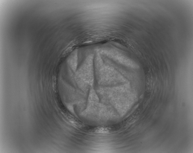 X0000063530656200602172244