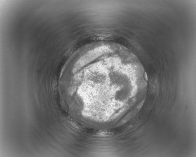 X0000063530657200602172244