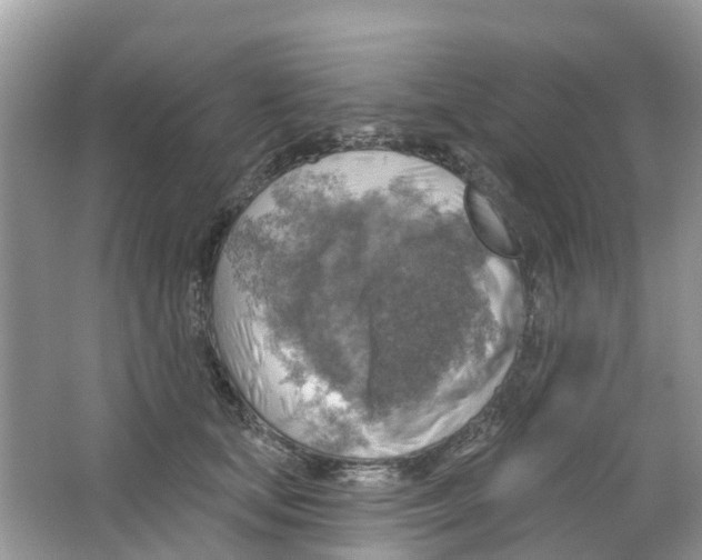 X0000063530659200602172244