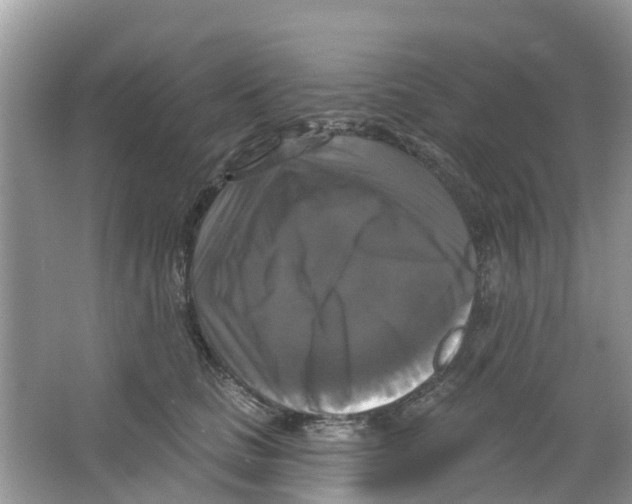 X0000063530661200602172244