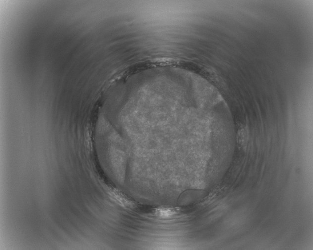 X0000063530662200602172244