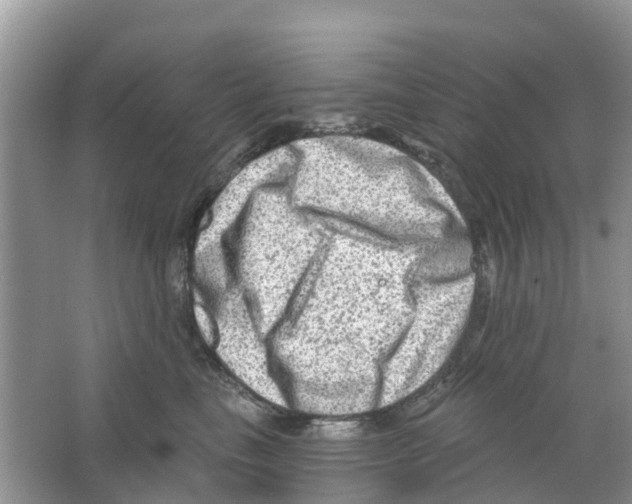 X0000063530665200602172244