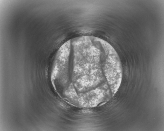 X0000063530668200602172244