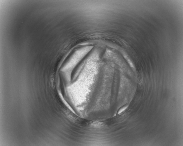 X0000063530669200602172244