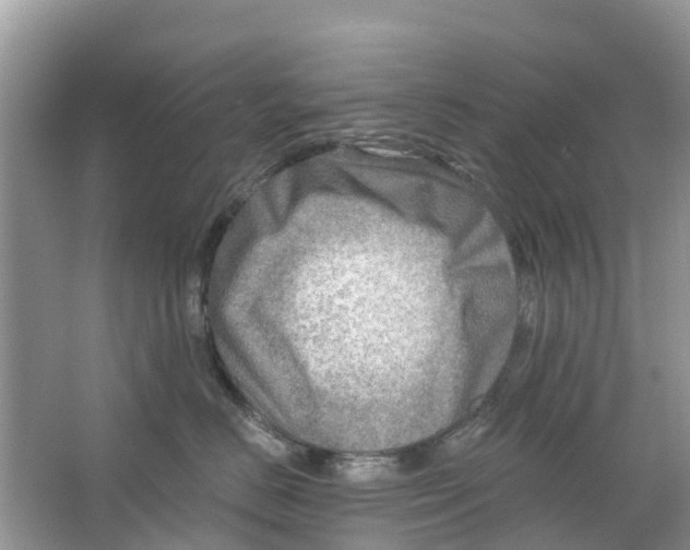 X0000063530670200602172244