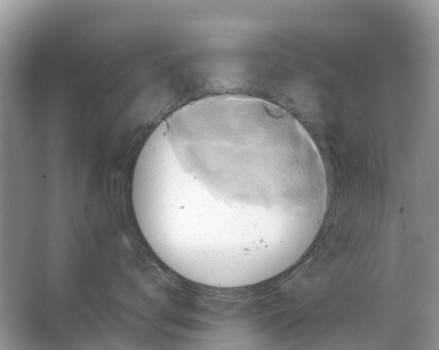 X0000063530672200602172244