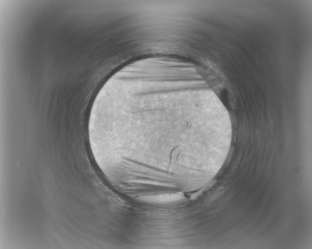 X0000063530673200602172243