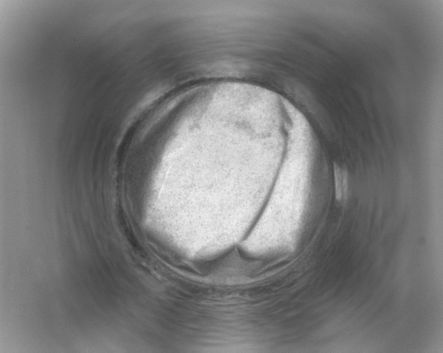 X0000063530675200602172243