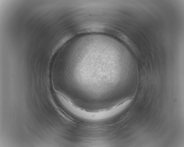 X0000063530677200602172243