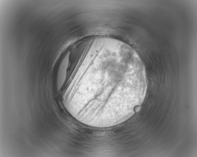 X0000063530679200602172243