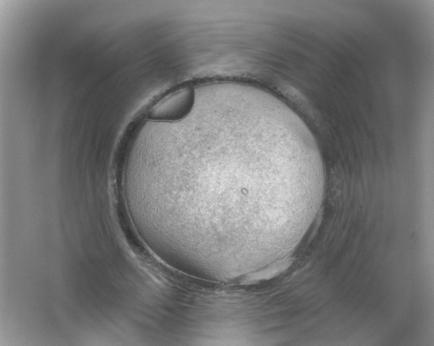 X0000063530680200602172243