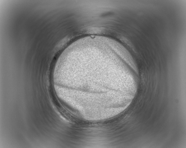 X0000063530682200602172243