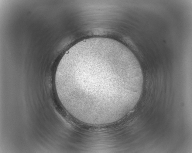 X0000063530683200602172243