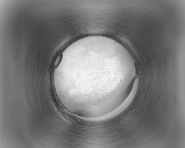 X0000063530684200602172243