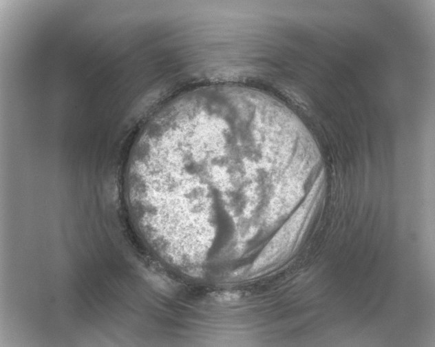 X0000063530687200602172243