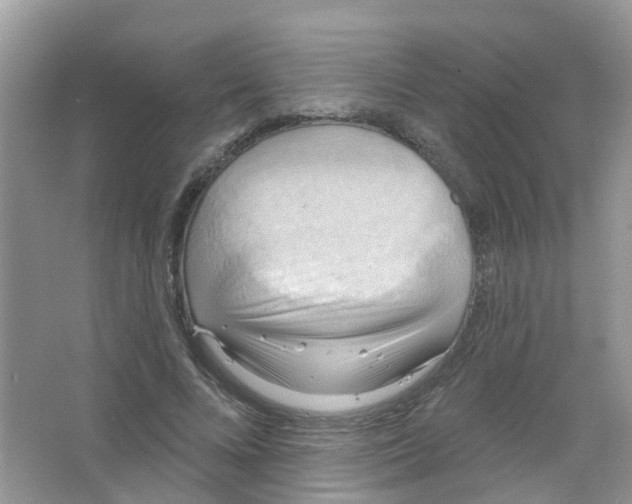 X0000063530688200602172243