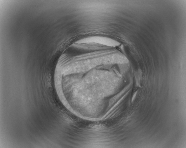 X0000063530689200602172243