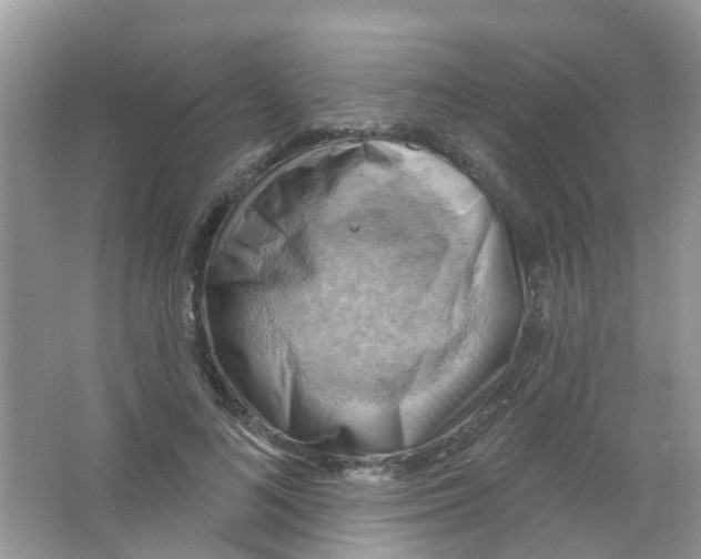 X0000063530692200602172243