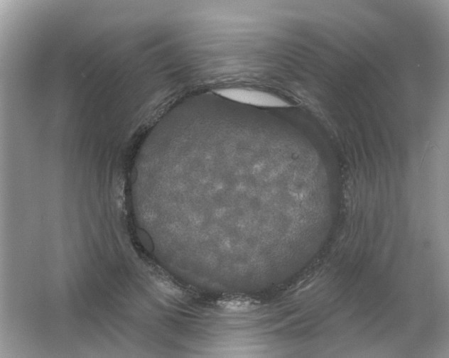 X0000063530693200602172243