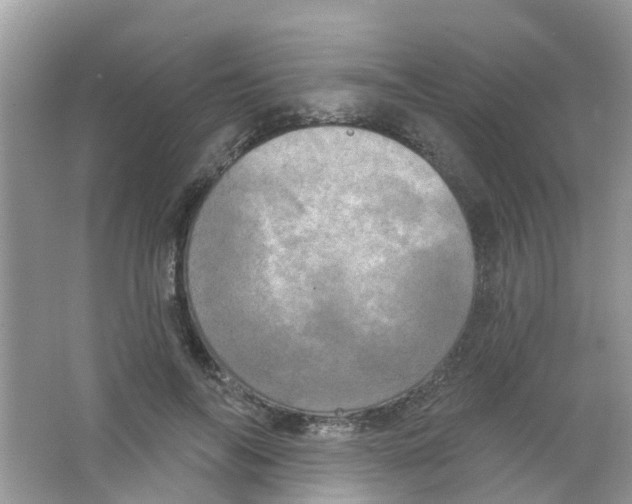 X0000063530694200602172243