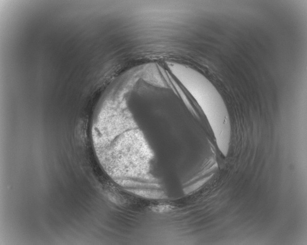 X0000063530695200602172243