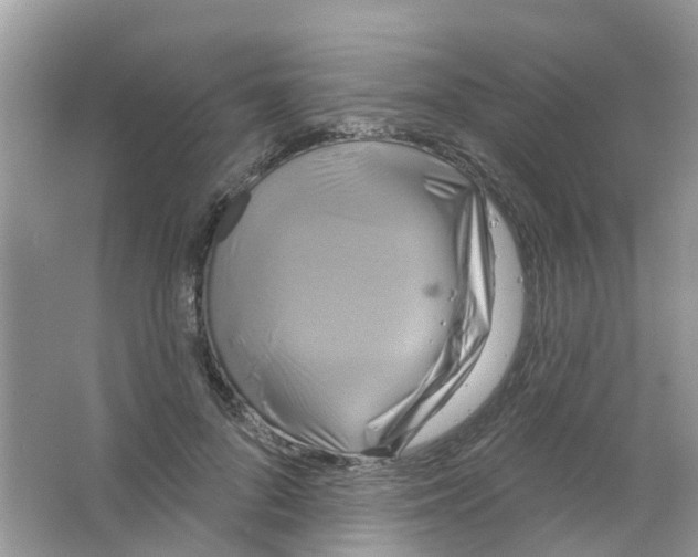 X0000063530696200602172243