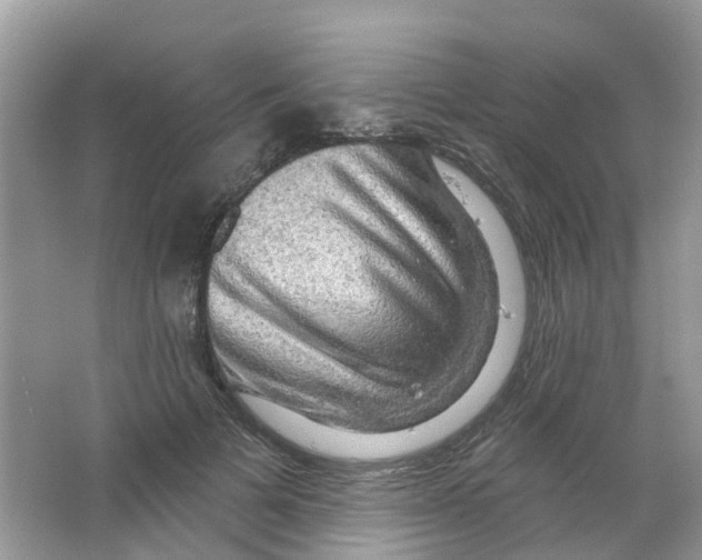 X0000063530697200602172243