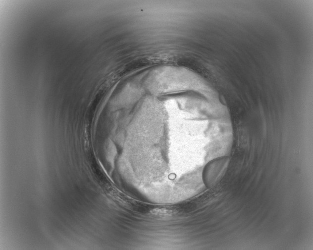 X0000063530699200602172243