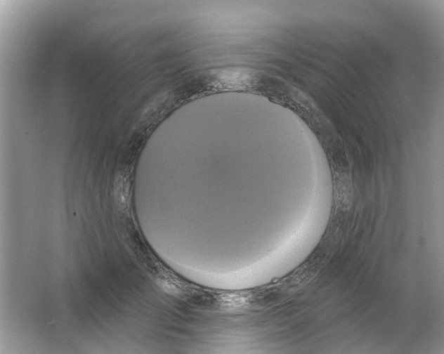 X0000063530701200602172243