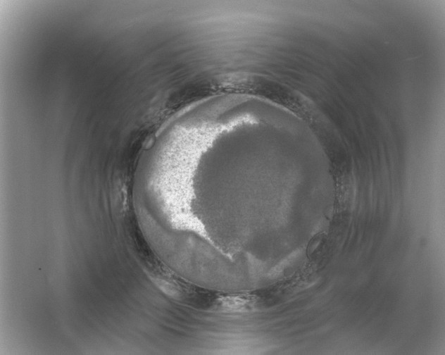 X0000063530703200602172243